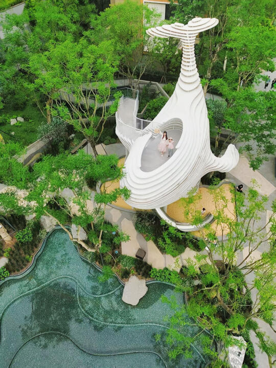 OMG！闯入现实版绿野仙踪🌳邂逅大🐳