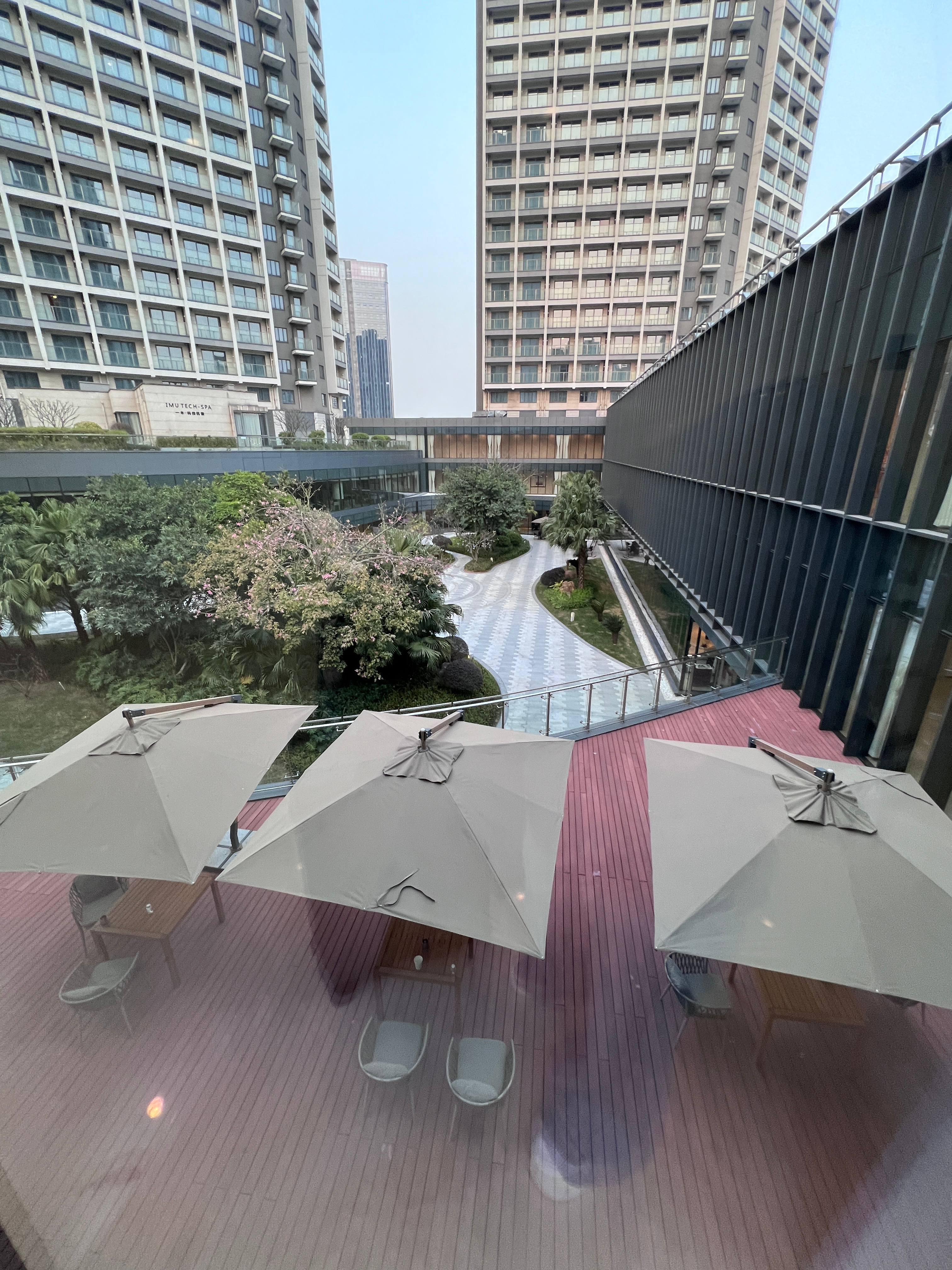 今天是A组我的日常plog