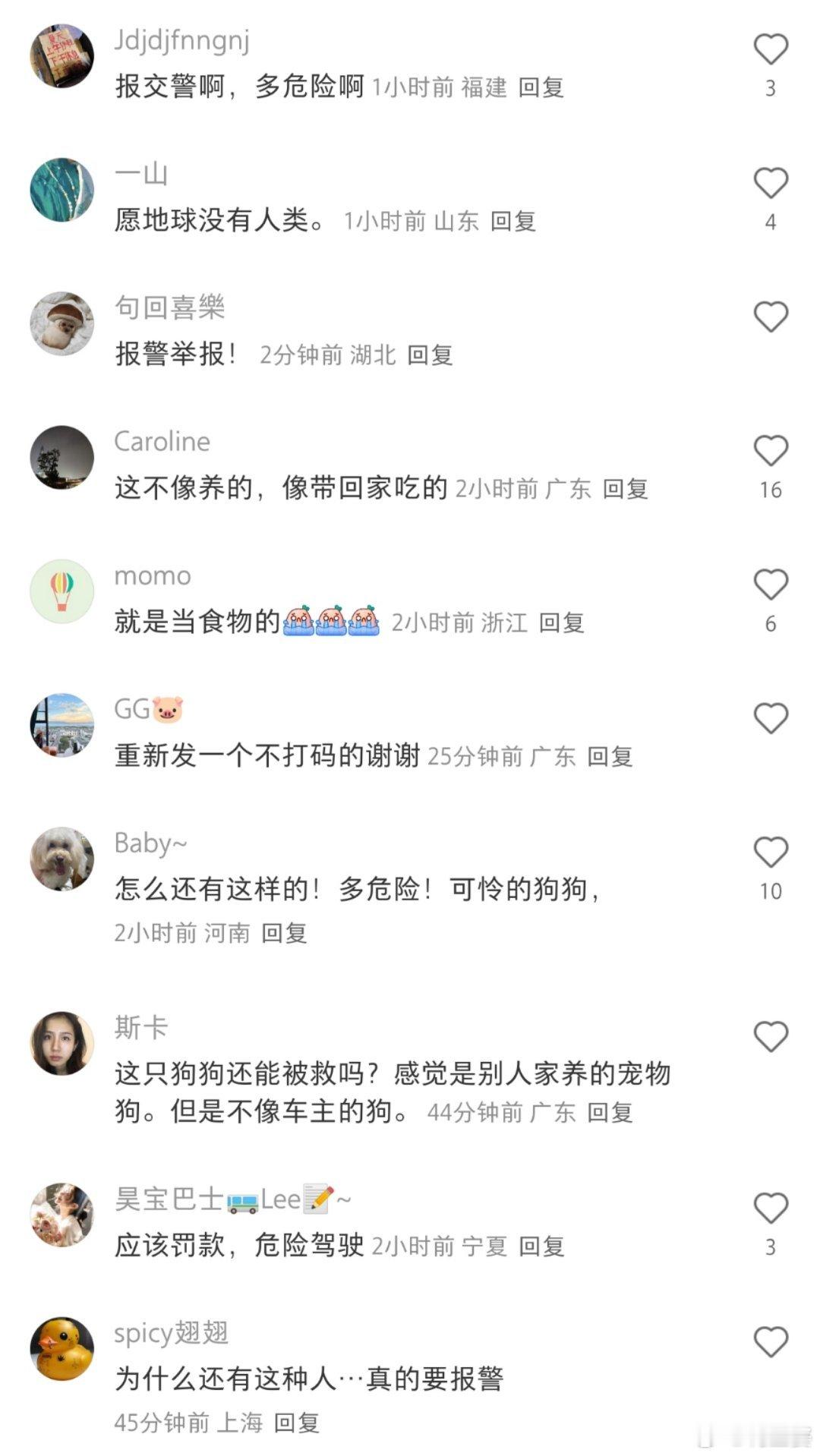 -之前春运的时候就不断在呼吁这个问题，怎么到了五一还有人把小动物挂在车外面上高速