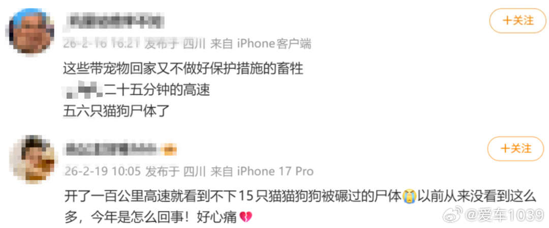 【爱车安全贴士 男子在300公里高速沿途累计发现62具猫狗尸体，部分身穿衣服…男