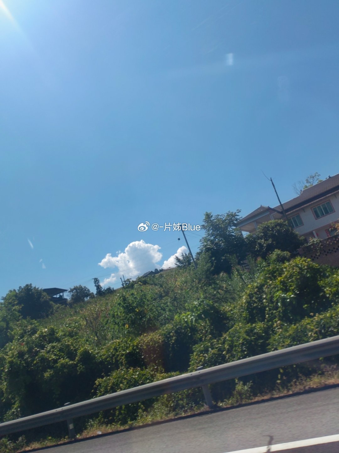如果山涧的晚风把我轻轻地吹凉了暑热就在一点一点中散开来来往往的人只是看一眼花开就