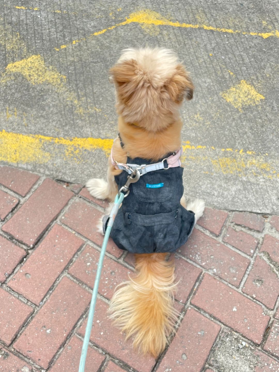 等妈妈放学来接