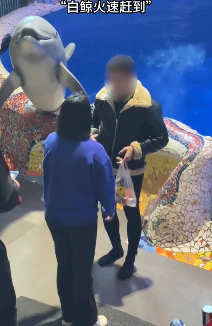 "白鲸火速赶到"。
灭火鲸温馨提示：室内公共场所请勿吸烟。