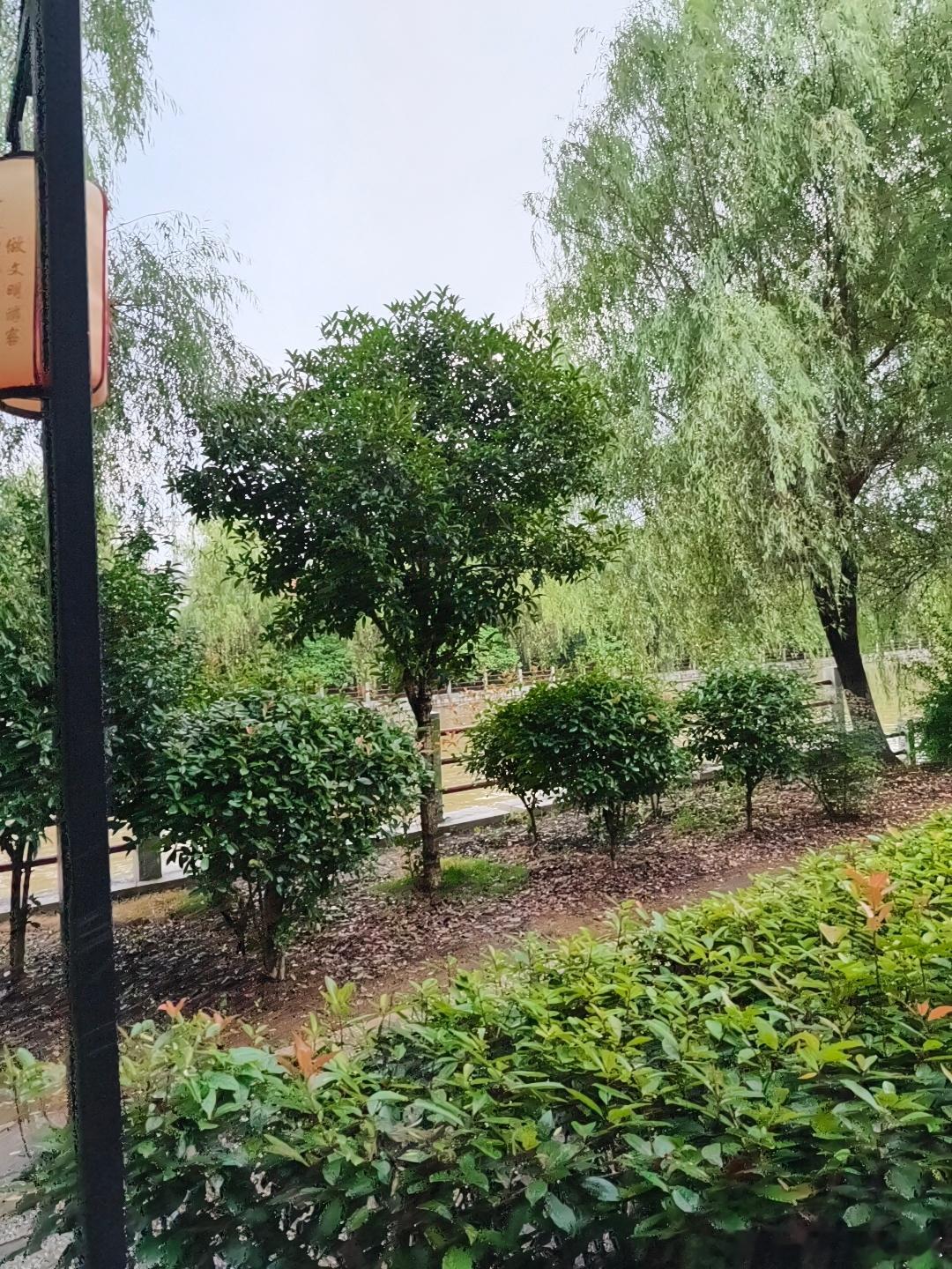 至于未来会怎样，要用力走下去才知道，记住，不要轻易放弃，自己的命运在自己手中，跌