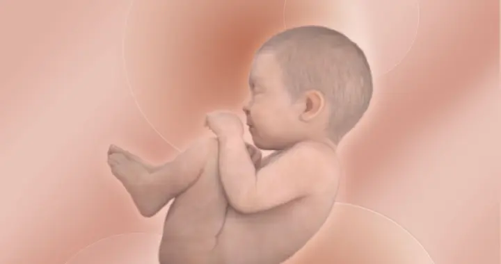 人类开始计划在太空里生孩子了