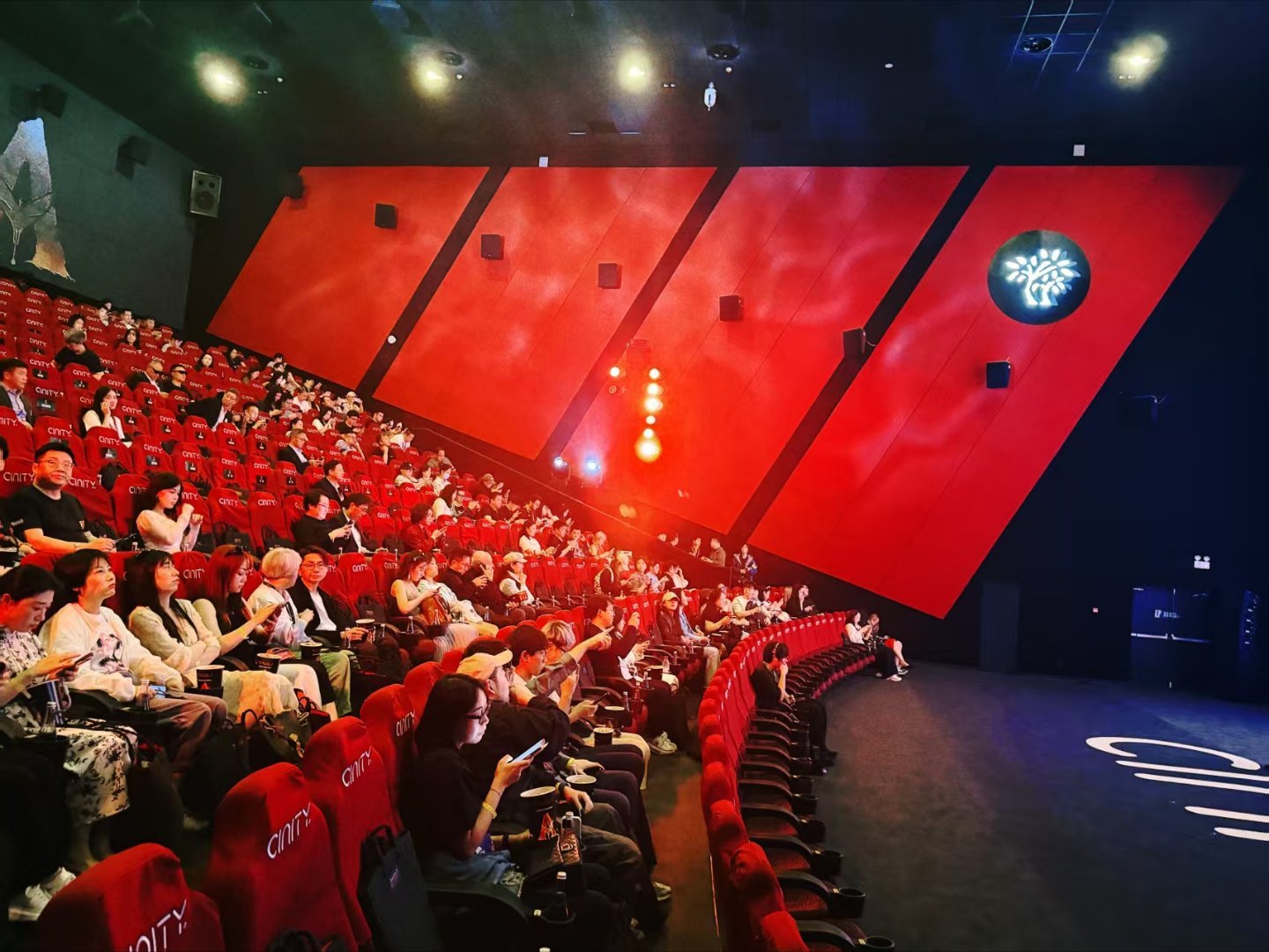 卡神果然没让人失望！火山特效太顶了，岩浆流动、灰烬飘落看着跟真的一样，IMAX厅