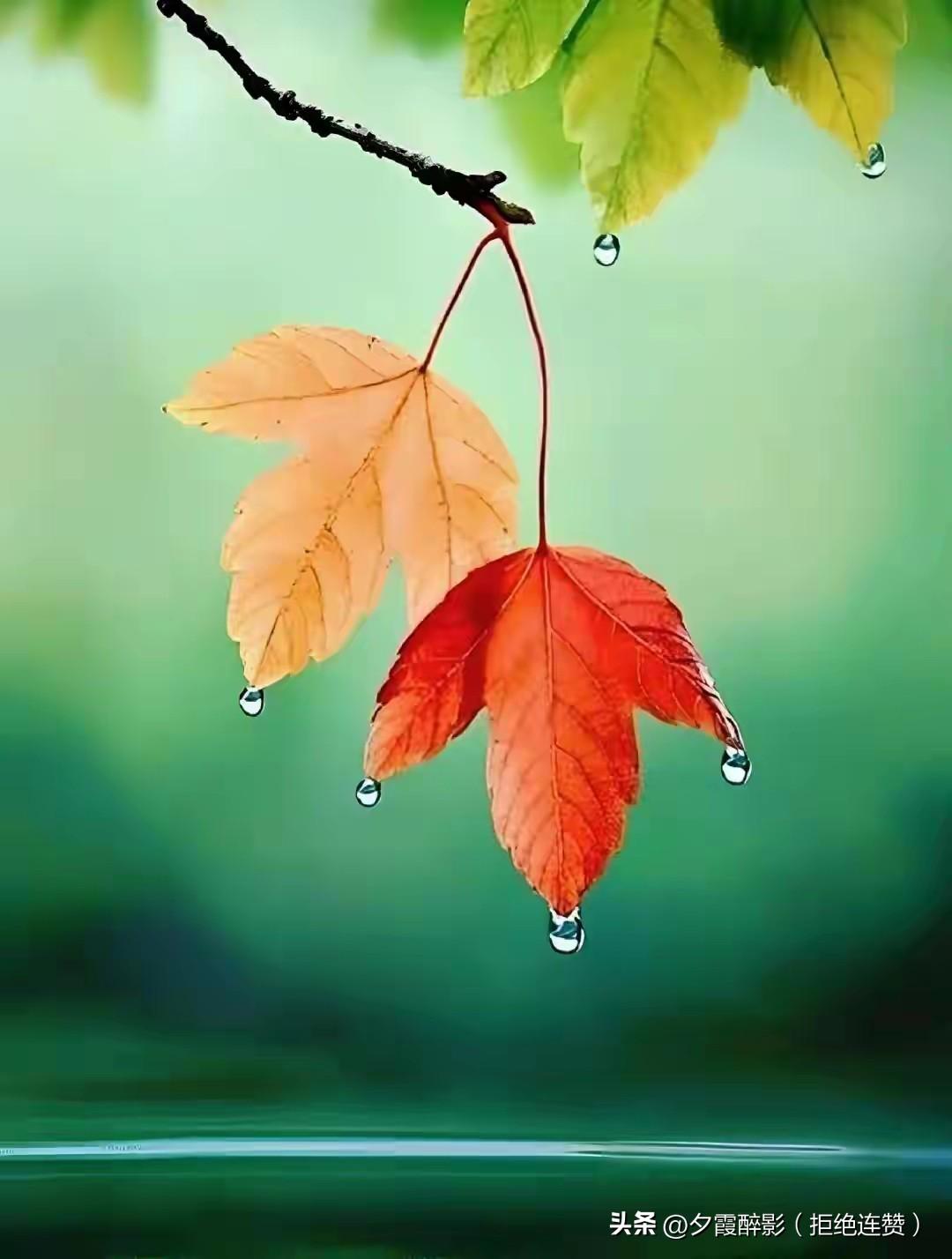 最近迷恋上了写头条，两个帐号轮流写，不为流量，不为钱，只喜欢这种一睁天眼就写几句