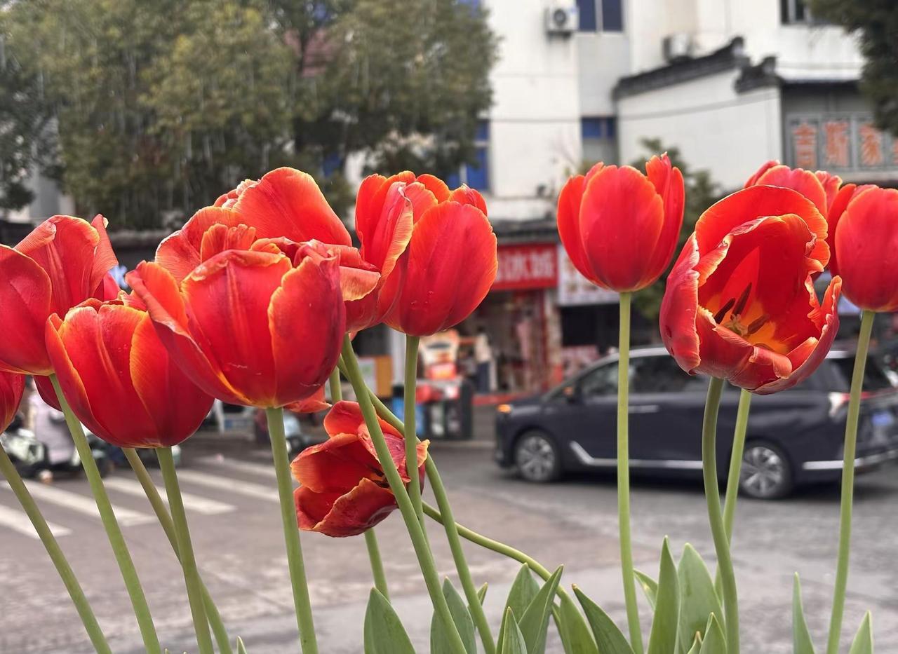 我想，人生是可以慢半拍，再慢半拍的 生命的钟表，不能一味地往前拨，要习惯自己是生