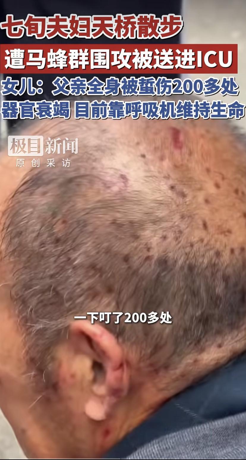 河南汝州有对七旬老夫妻，9月11日出门遛弯，路过一座人行天桥时，突然被桥下飞出的