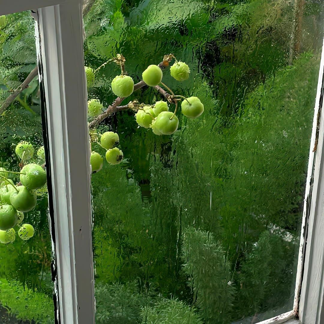 green背景图 