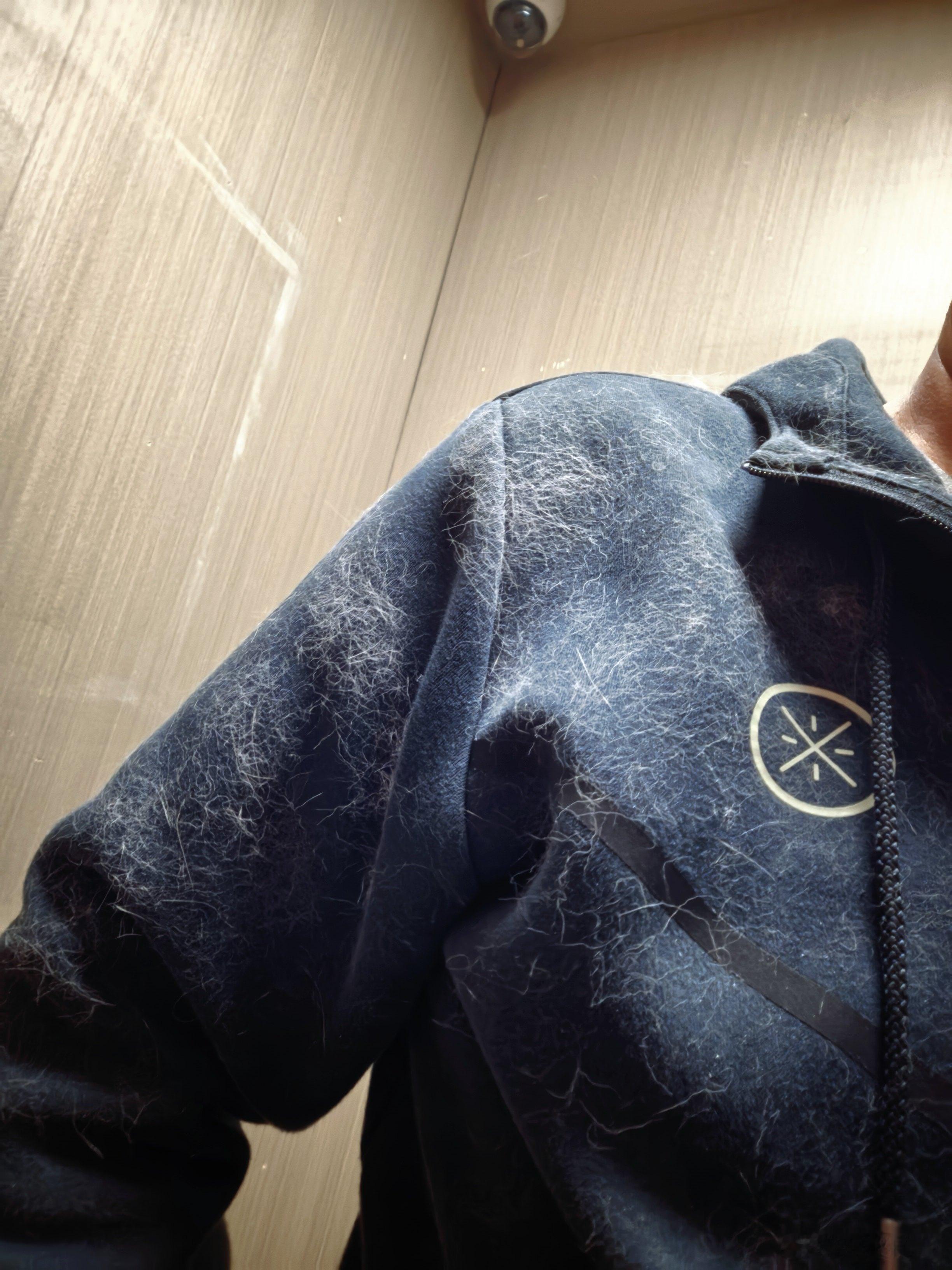 你们家的猫，是不是也到了换毛季？太离谱了吧，小时候也不这样啊！