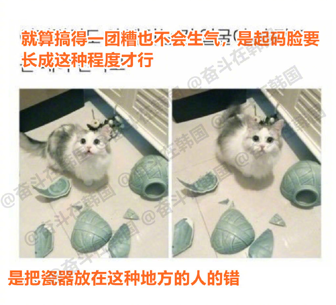长相的重要性海外新鲜事 热点现场