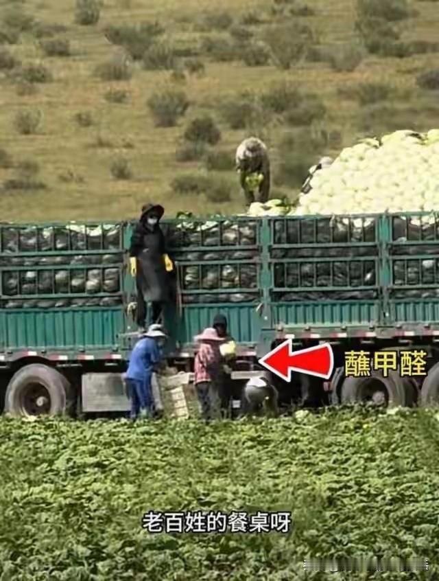 重要提醒！商贩为赚黑心钱不择手段，你的家常菜可能有毒 

实在太离谱，严查这么多
