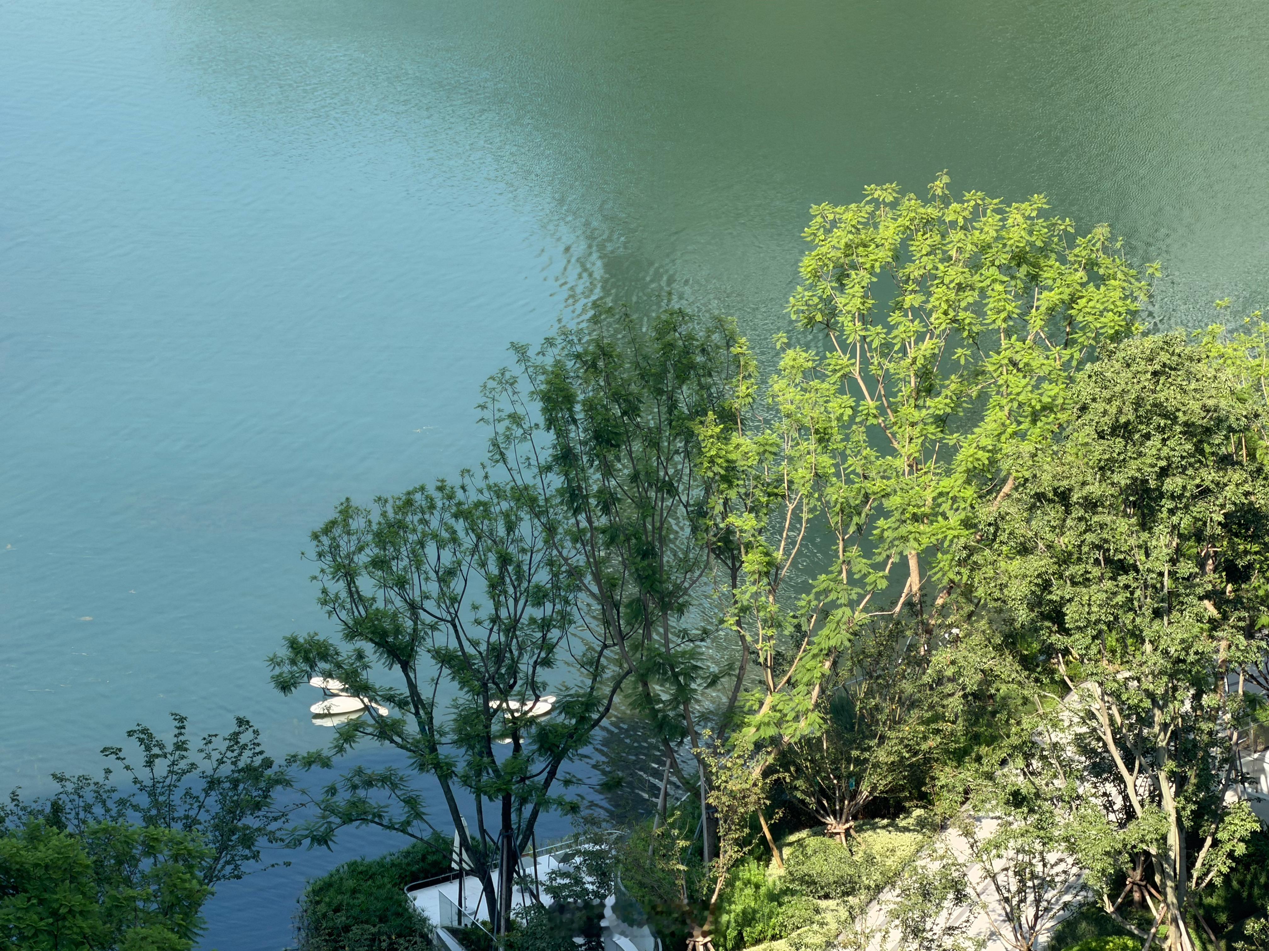 建议大家装修不要太大众我自己总结的装修心得:1️⃣装修的本质就是遮丑（想想天花板
