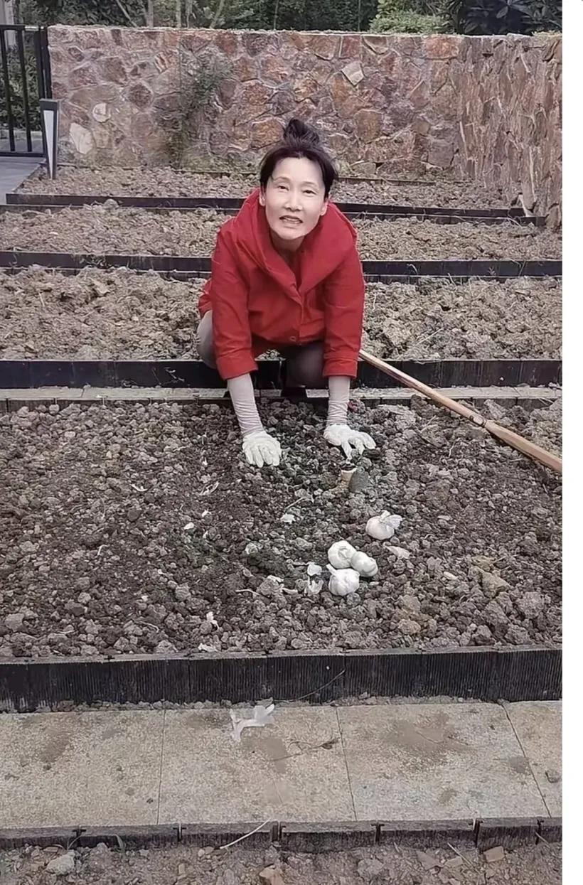 这还是娱乐圈的大姐大吗？太普通了吧！她的演技可是杠杠的，记得《大宅门》里杨九红么