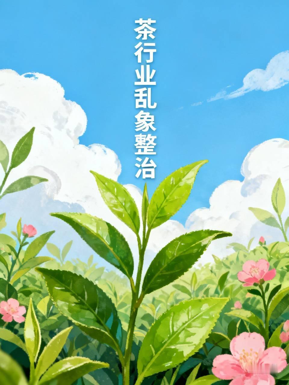 茶行业乱象丛生，得好好整治整治。就说价格虚高这事儿，有些商家把普通茶包装成“天价