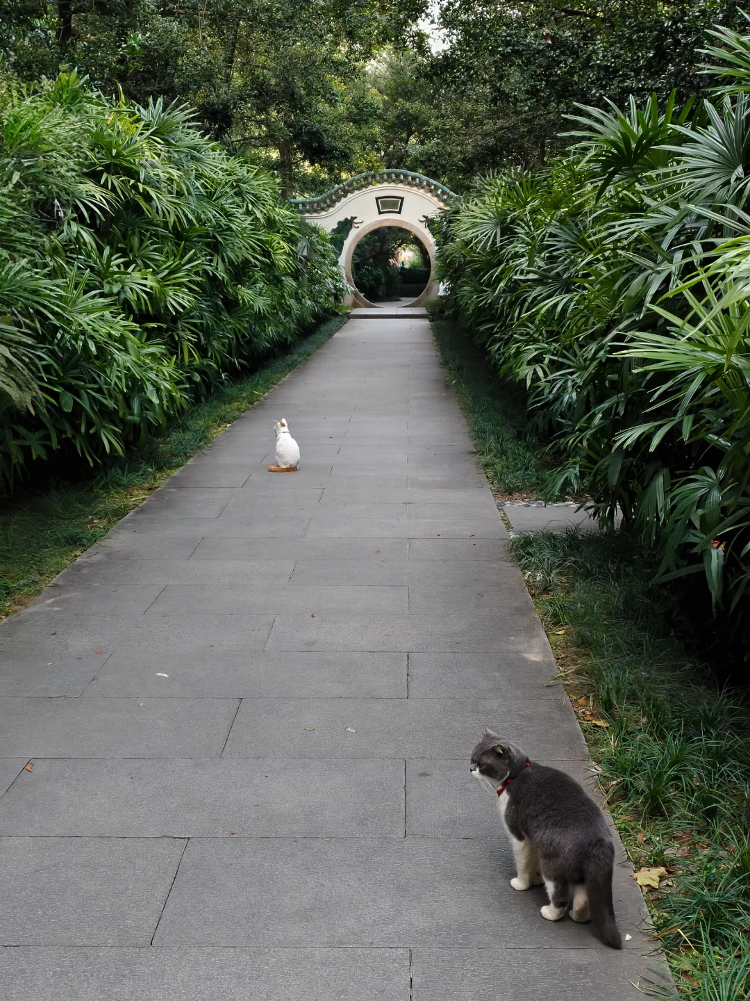 广州地铁直达猫猫公园～