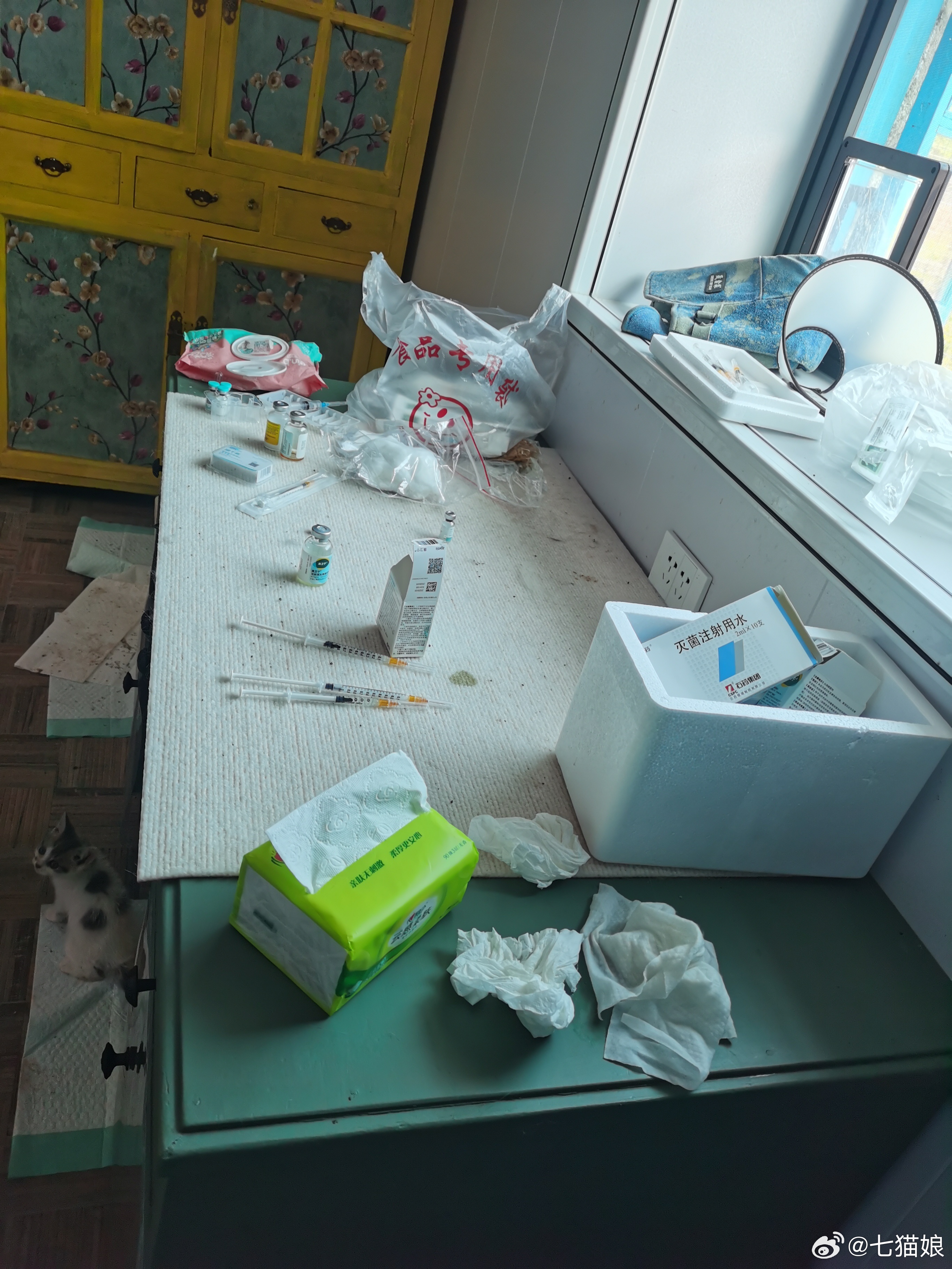 请医生上门给娃打针清创。一个娃要打三四针，11个娃打针，老母亲一个人搞不定了。狮