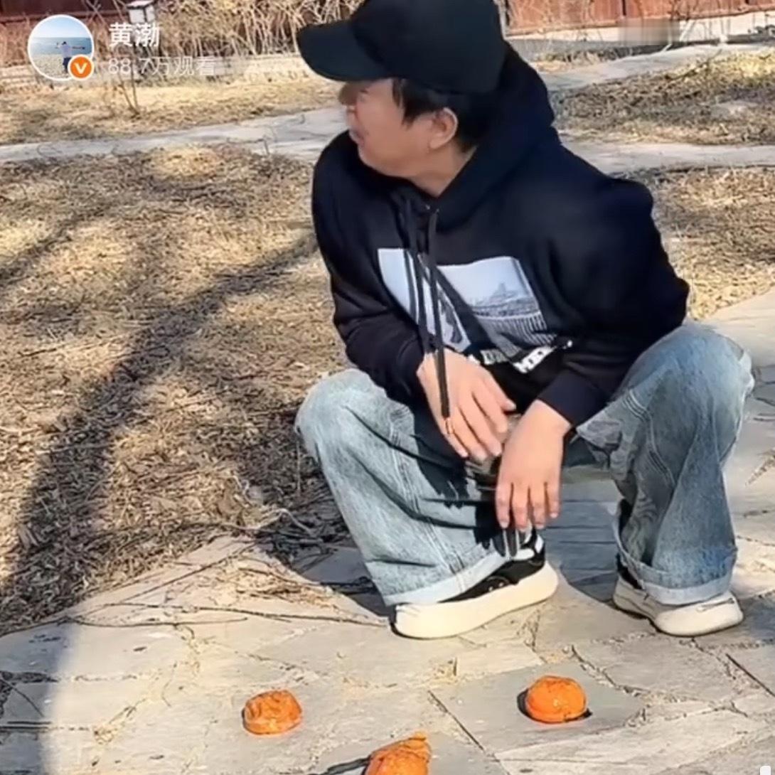 太闲了陪黄渤在这喂喜鹊春节大家都回家过年了，不想干活儿先在这儿云陪伴黄渤老师喂喜