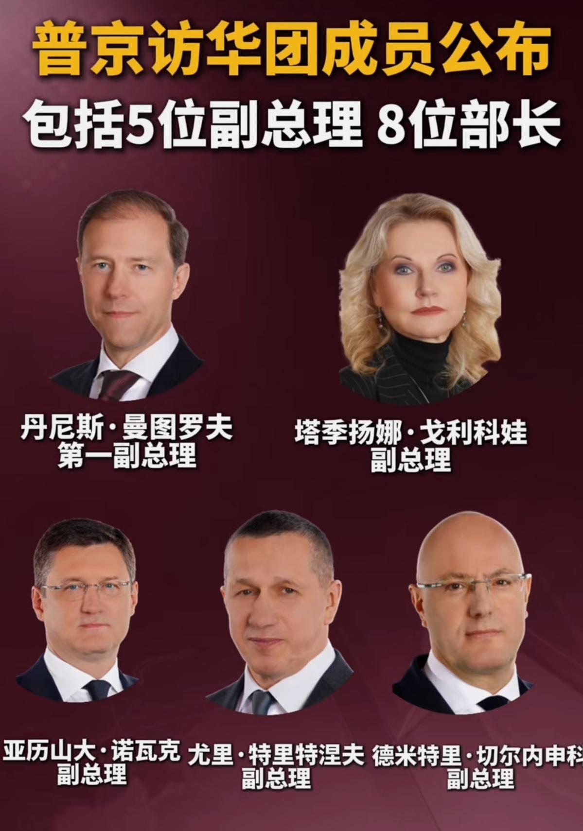 普京访华团成员
       普京带了5位副总理8位部长，涵盖能源、工业、交通、
