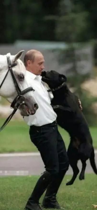 俄罗斯做了一件让所有人都没想到的；同时解决俄乌战争停火，欧盟北约不再拱火乌克兰让