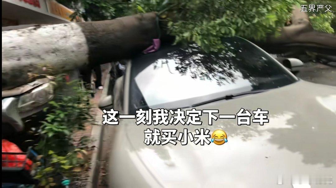 当台风天这么粗一棵树砸下来，当那句：“玻璃都没爆哦”说出口时，这就是小米SU7最