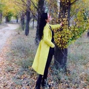 一片绿叶在天堂