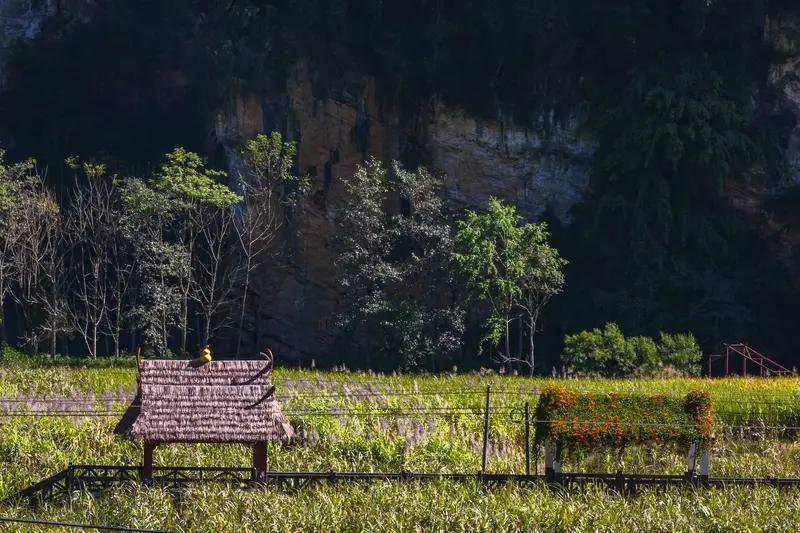 3.28号这天，我翻相册找到了最满意的照片，是之前去云南沧源千米国画长廊拍的。它