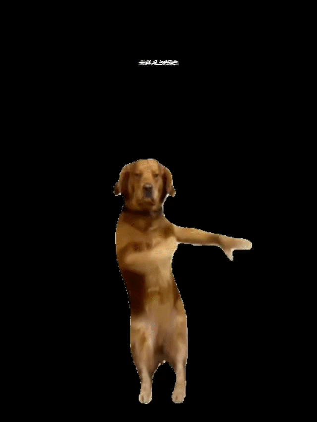 在机场转盘看到淘宝闪购温馨画面🛒，过年禄口机场被淘宝闪购戳中心底最软处，想念家