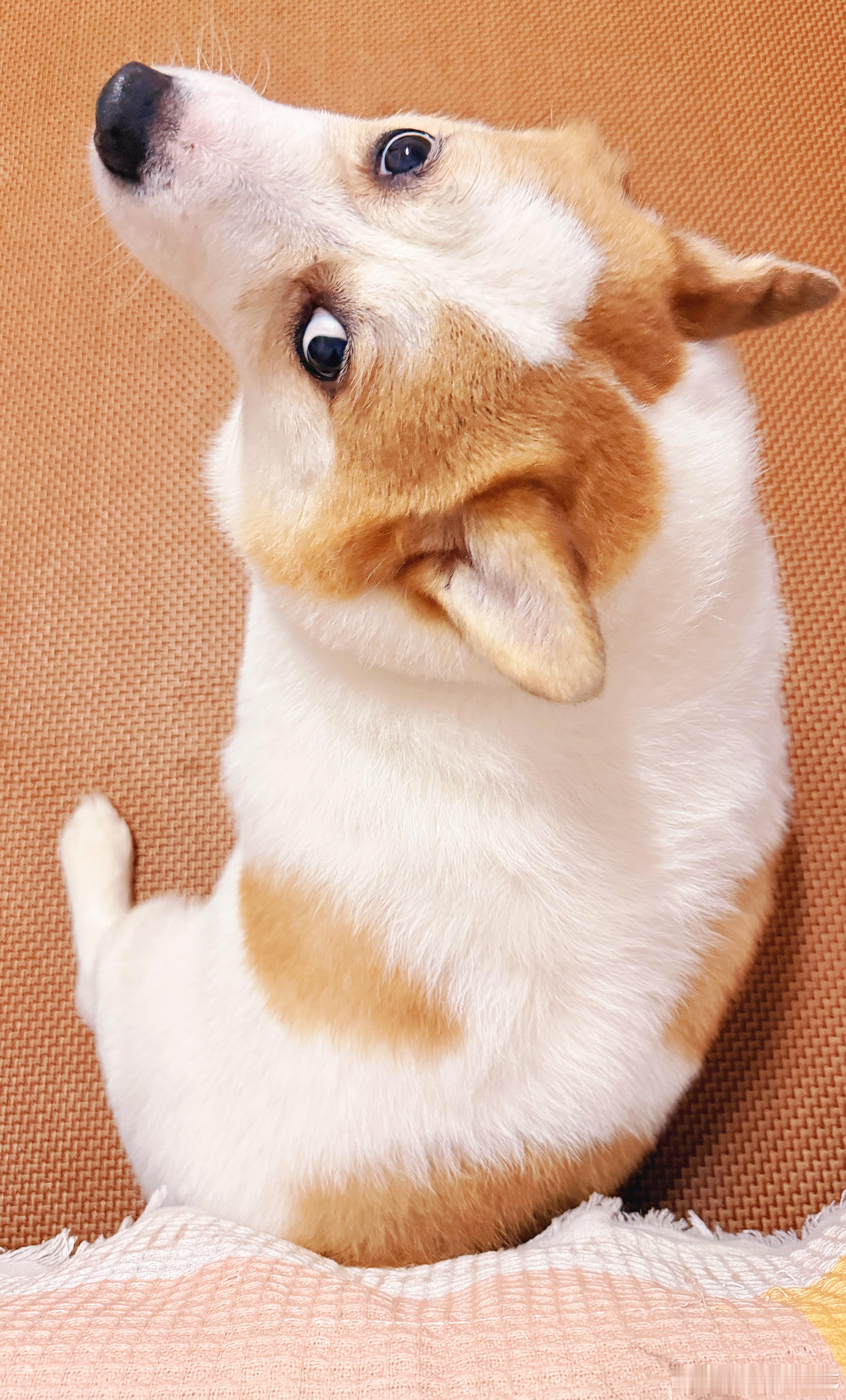 瘦了！ 