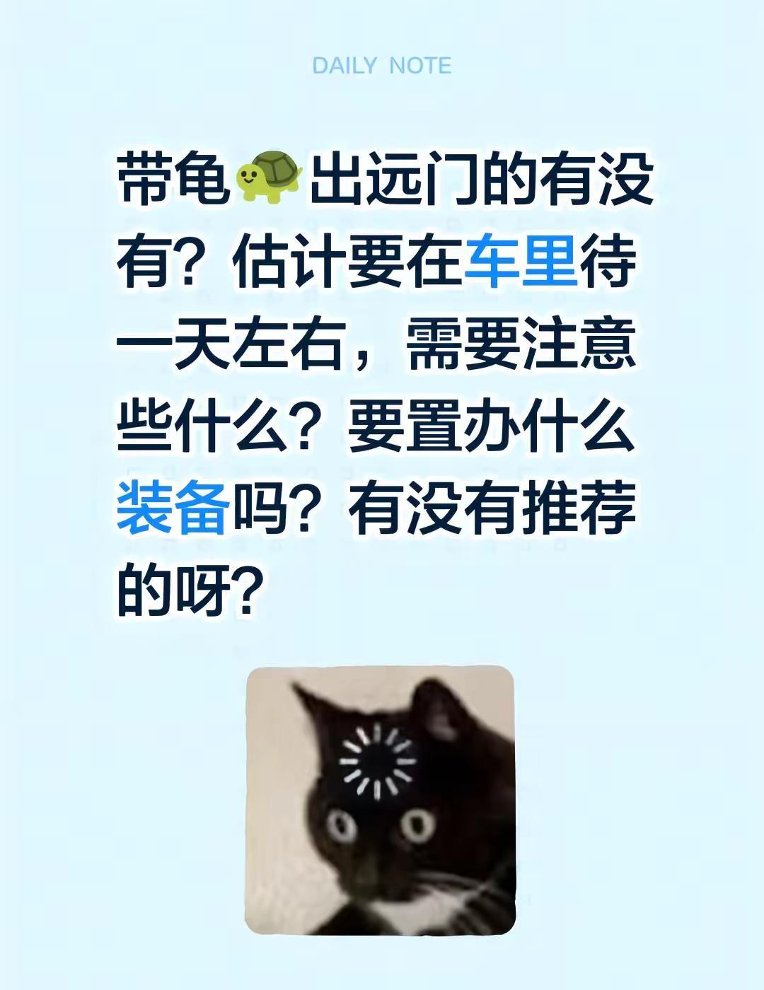 带乌龟坐车出门需要注意什么？带乌龟坐车一天左右需要注意什么？有没有带着出门过的？