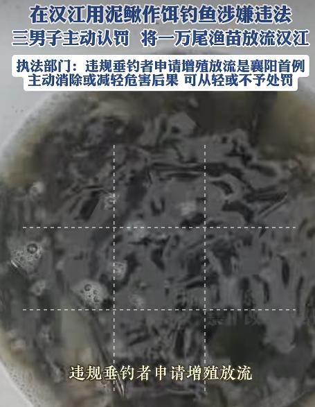 惩罚太轻了！湖北襄阳，3名钓鱼人在汉江钓鱼的时候，挂泥鳅钓，结果被渔政工作人员逮