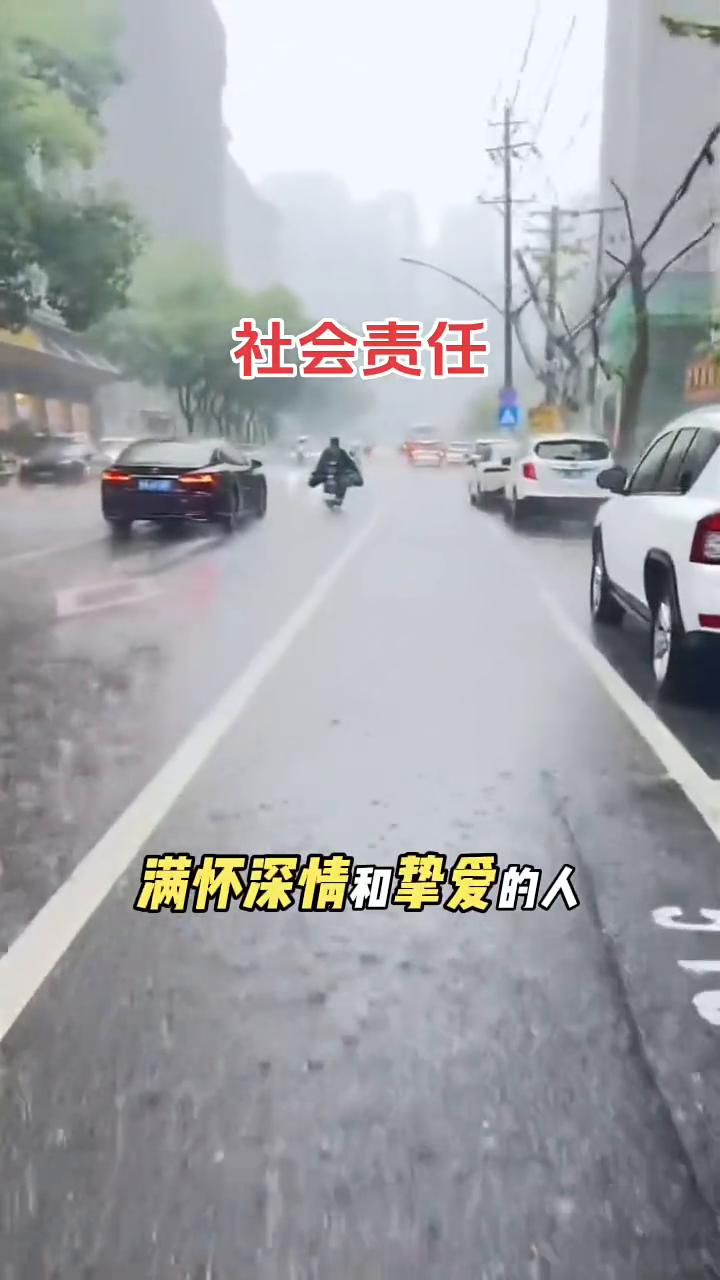 社会责任。
只有对国家和民族满怀深情和挚爱的人才会去批评社会的阴暗面，只有怀揣光