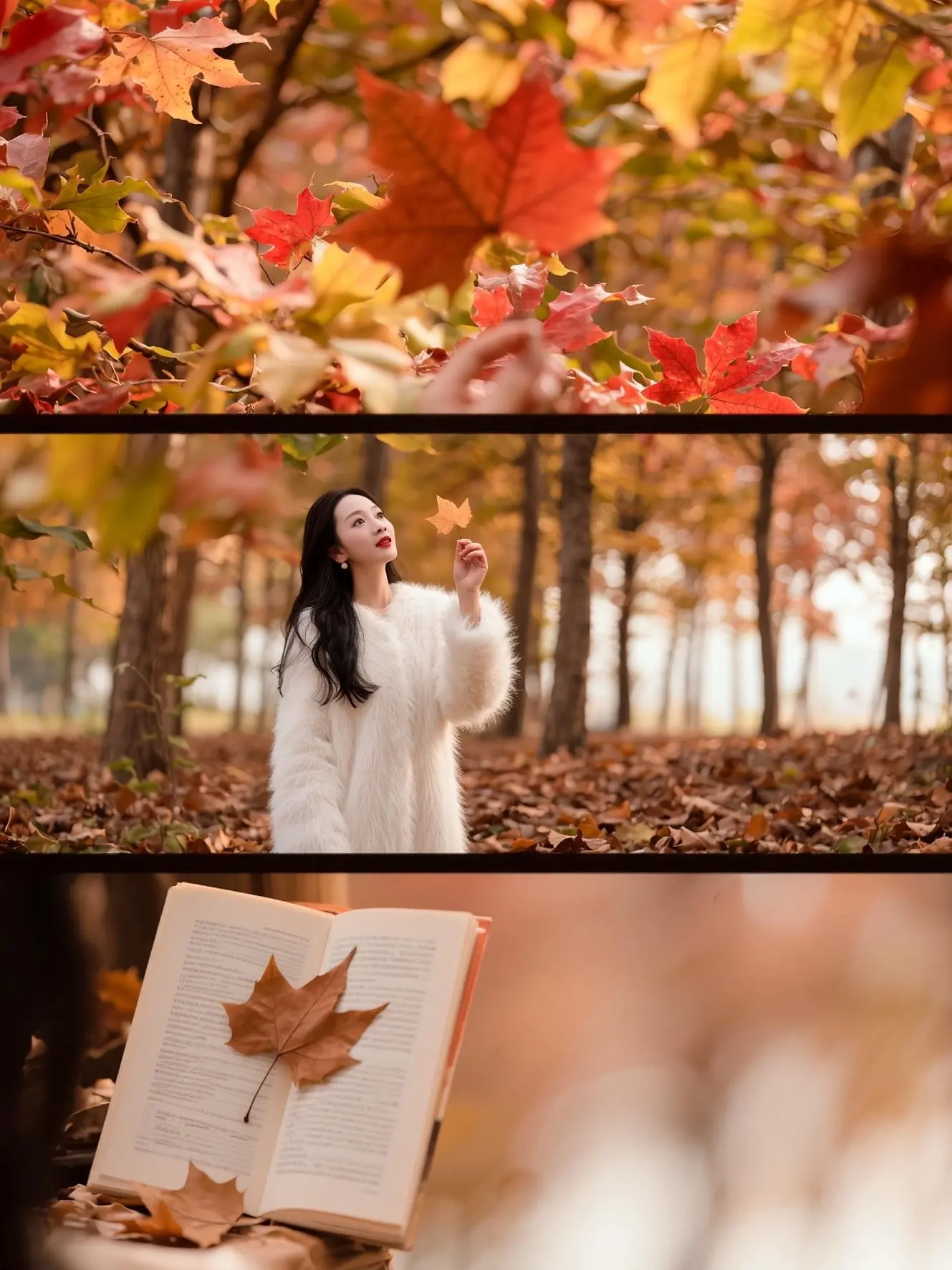 秋风̑起，̷满城尽是桂花香。🍂 🍁