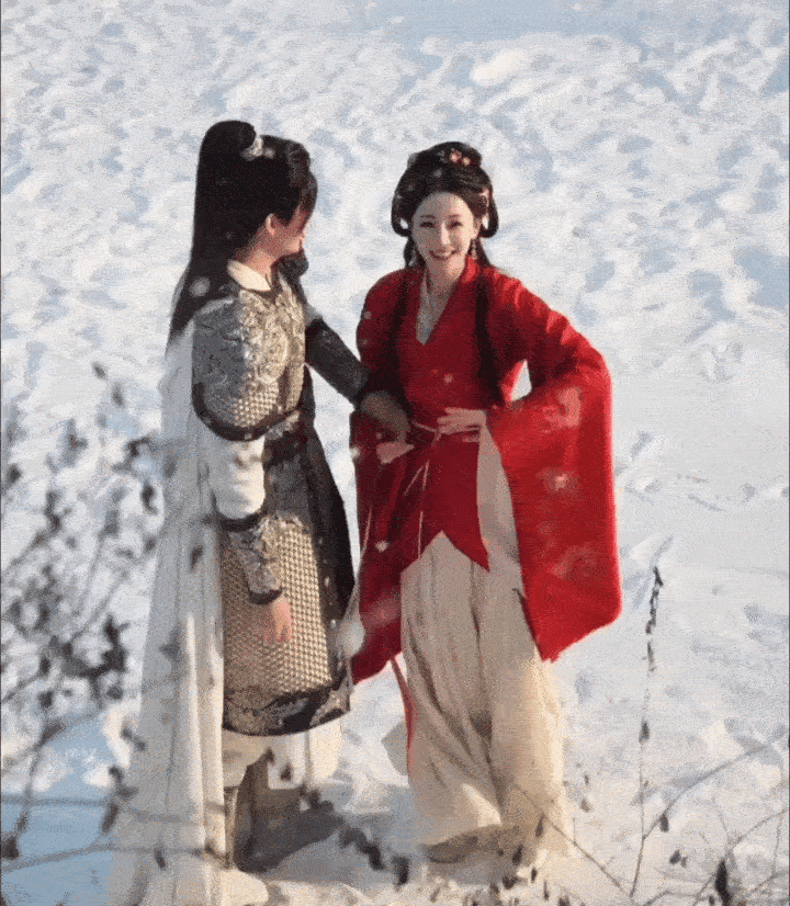 慕胥辞贺思慕段胥雪中舞 很适合本小学牲的一对西皮 