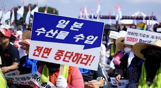 韩国沦陷！数万吨鱼类横尸横滩，日本核污染水谎言也就此揭穿！

韩国遭遇了一场鱼类