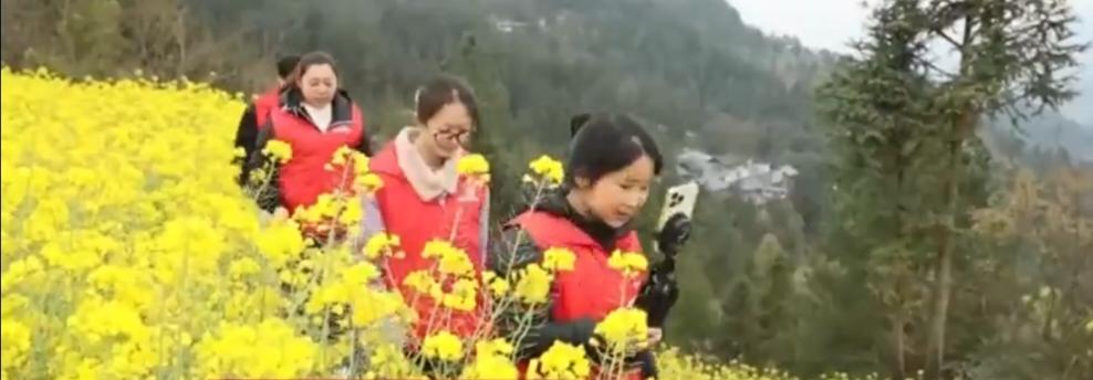 春日花海间，身穿红马甲的志愿者走进油菜花田，与蜂农面对面交流，细致了解蜜蜂养殖、