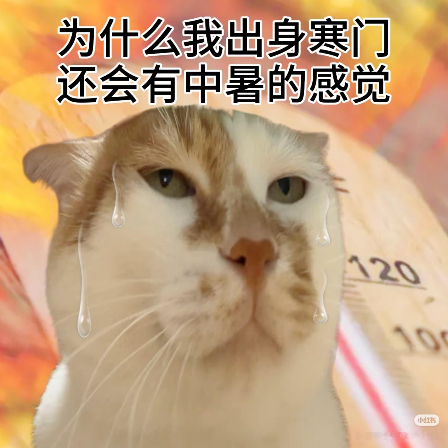 世界这么大，你不出去看都不知道有多热 