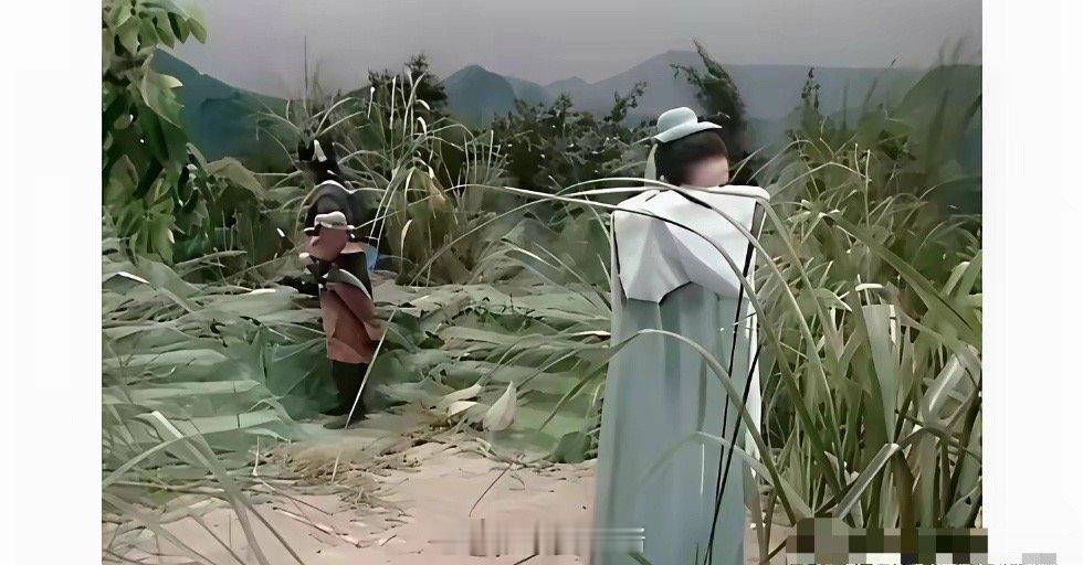当年观众的宽容度属实是高，当看完这后面的山真的令人惊叹不已！ ​​​