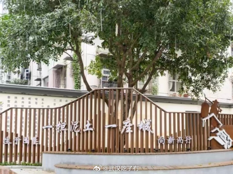 武汉微更新把老街改活了不搬走一家老店，不拆一栋老建筑，甚至连巷口的大树都留着。吴