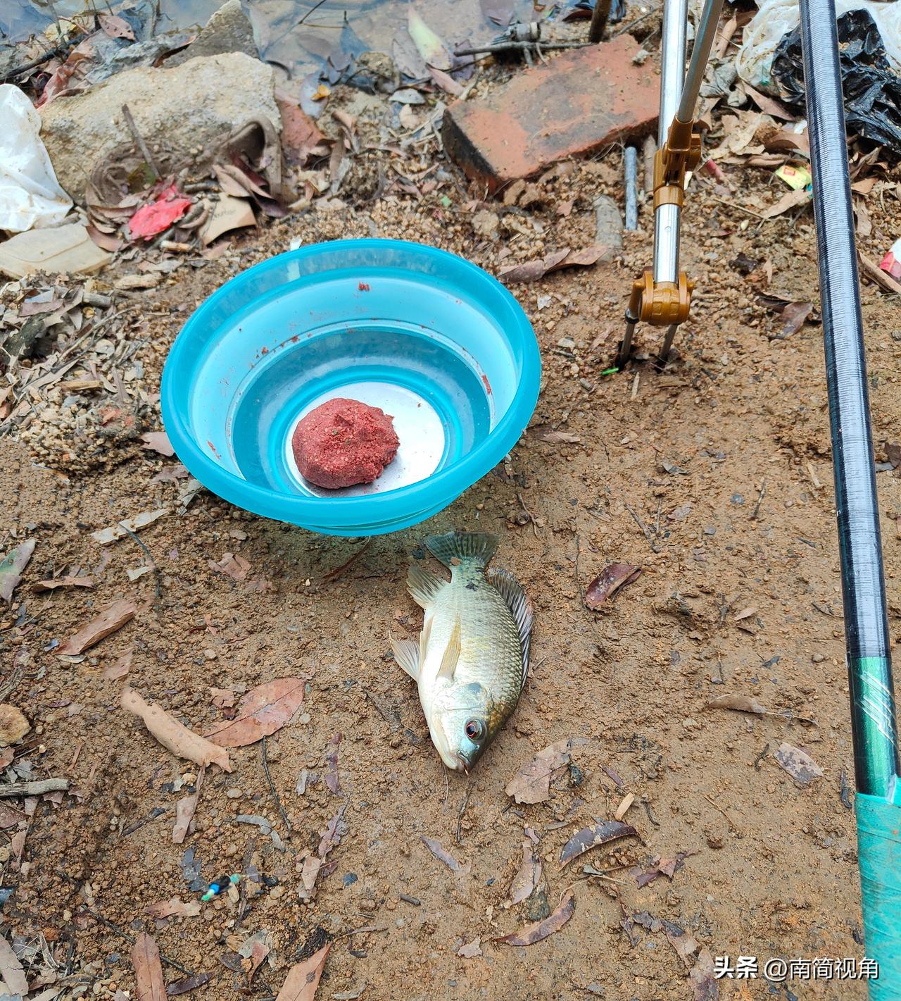 看图写诗，我先来，你们随后。[捂脸]
《罗非报到》
一杆甩进水中央，
浮漂一动心