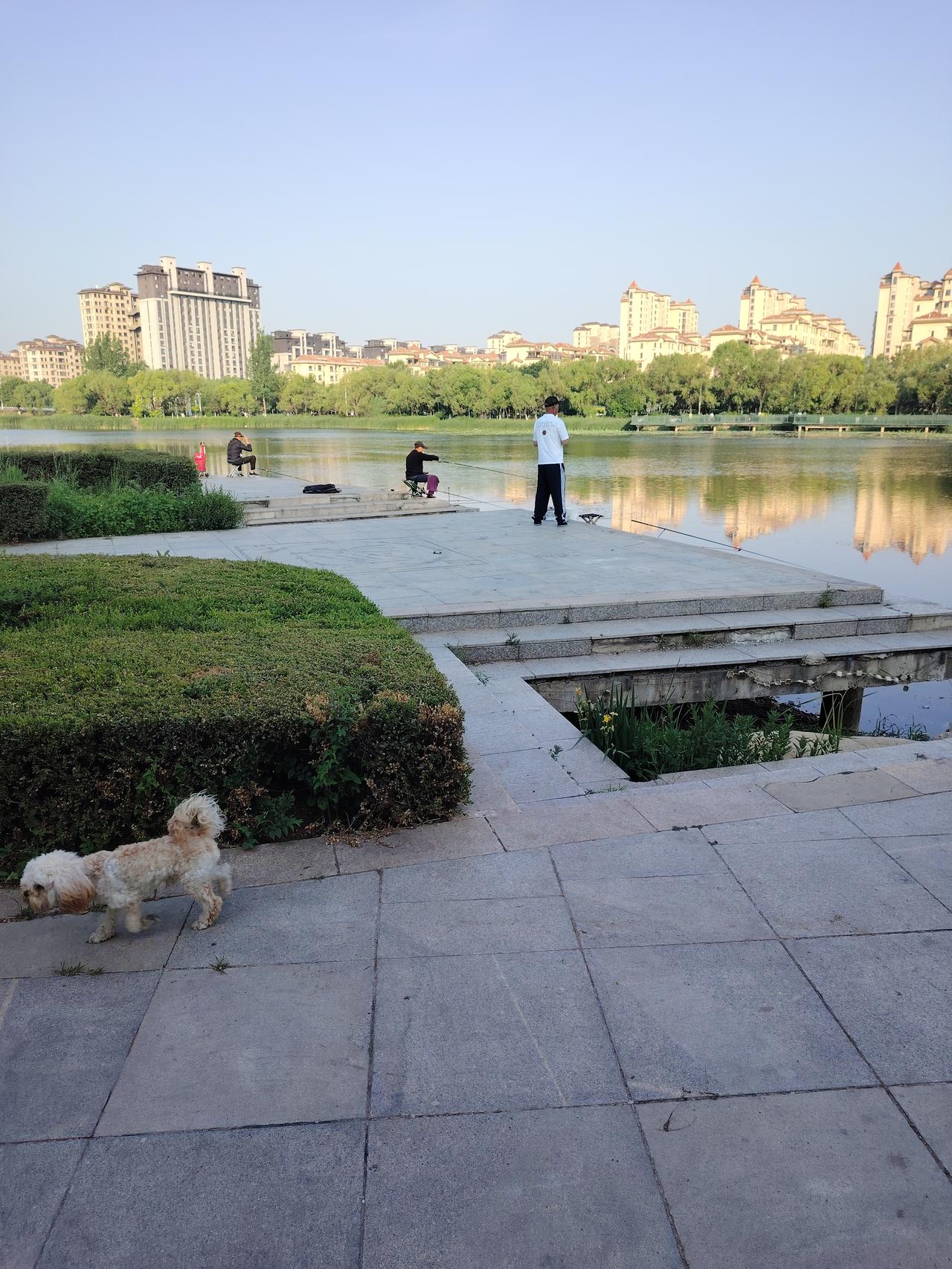 早上的人工湖边还有这么多钓鱼佬，空气是真的好啊。
