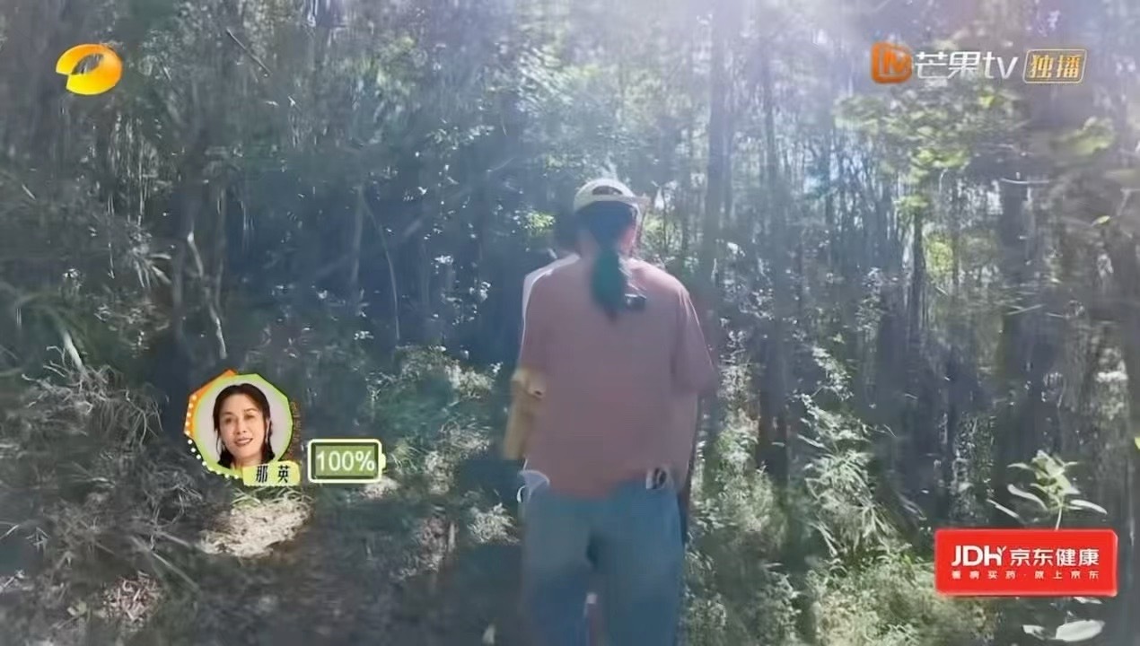 那英体力那英花少状态 真的不错 ​​​