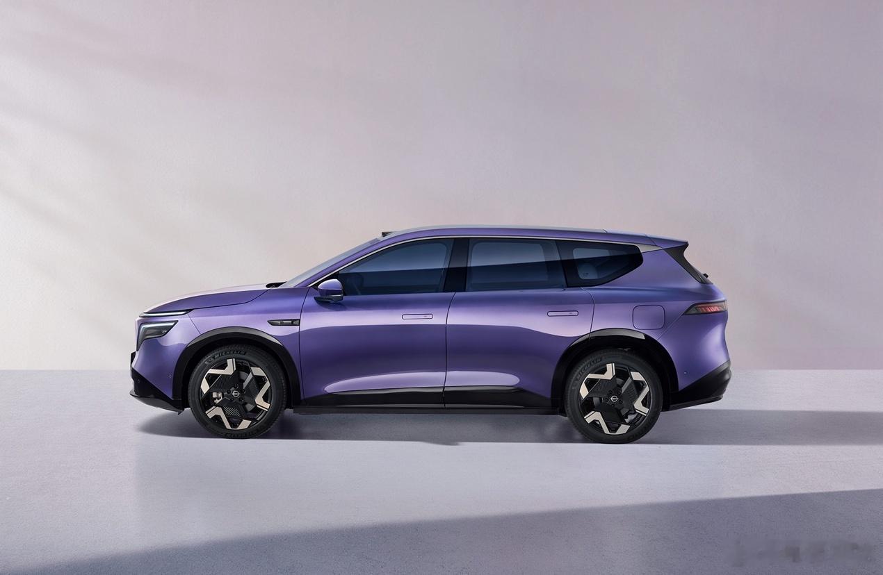 日产新能源再增一员猛将～定名NX8公告图来咯首搭800V平台+宁德时代5C超充技