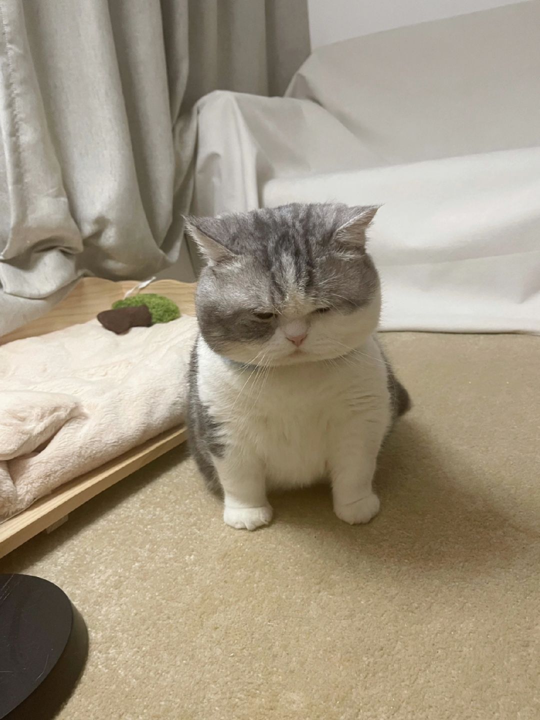 送去咖啡店打工被退回