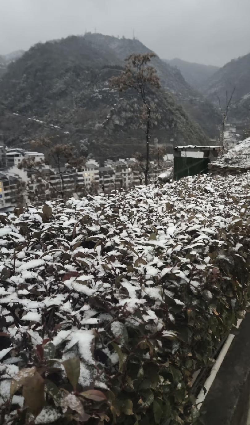 昨天看了个新闻，湖北一个村子种菜，地边上全是“克百威”这种禁用农药的袋子，味道一