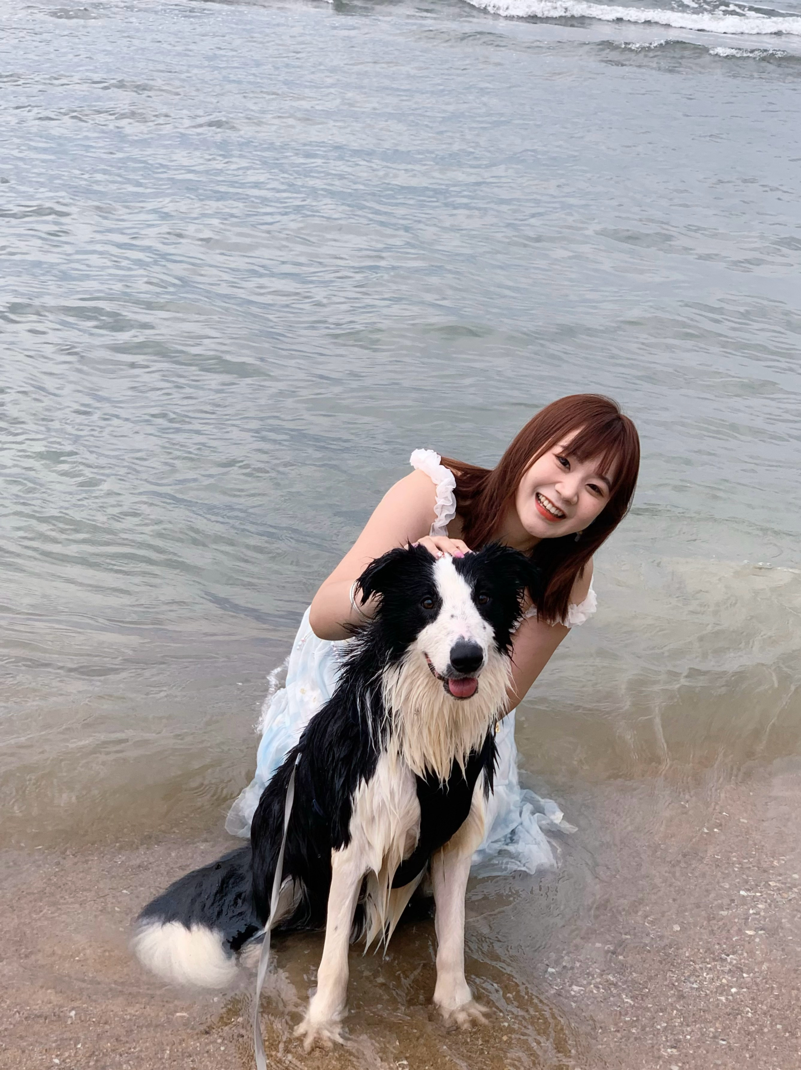 遇到东风咯 ​​​