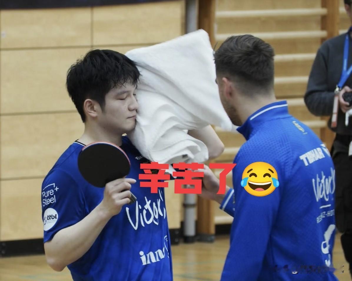 樊振东擦汗这一幕，让人快看哭了[笑哭]，一起进来看看
瞧，大颗大颗的汗水，挂满了