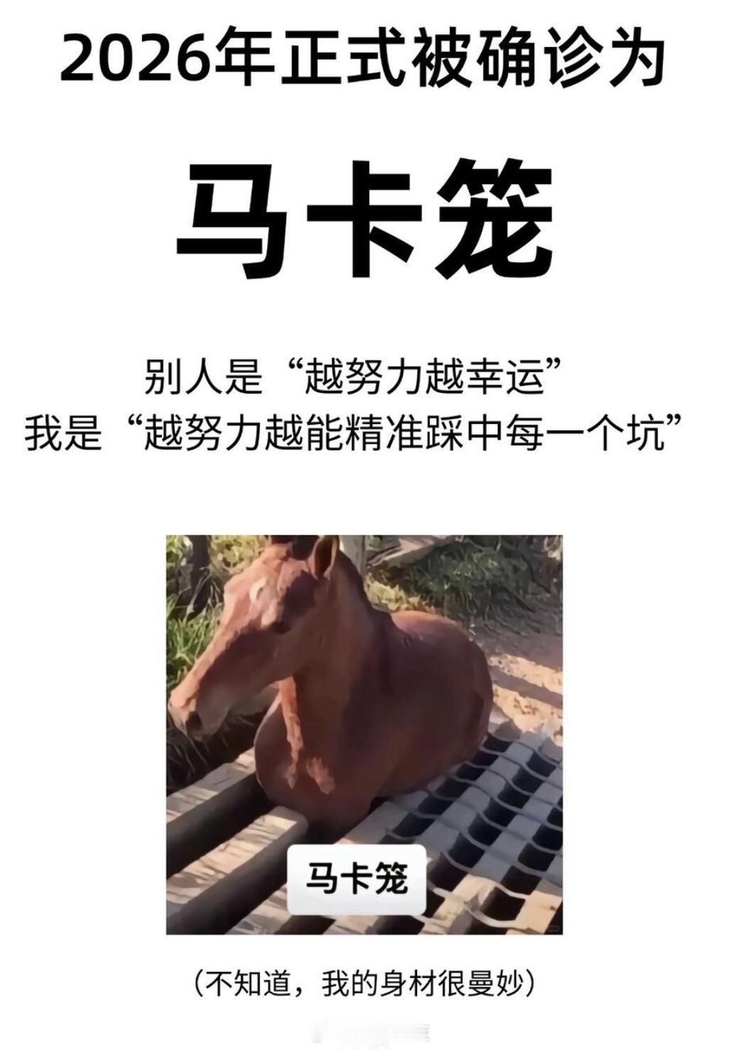 马年的梗还是太超前了🐴年新人设  你是什么马❓马年我就一个目标 放自己一马🐎