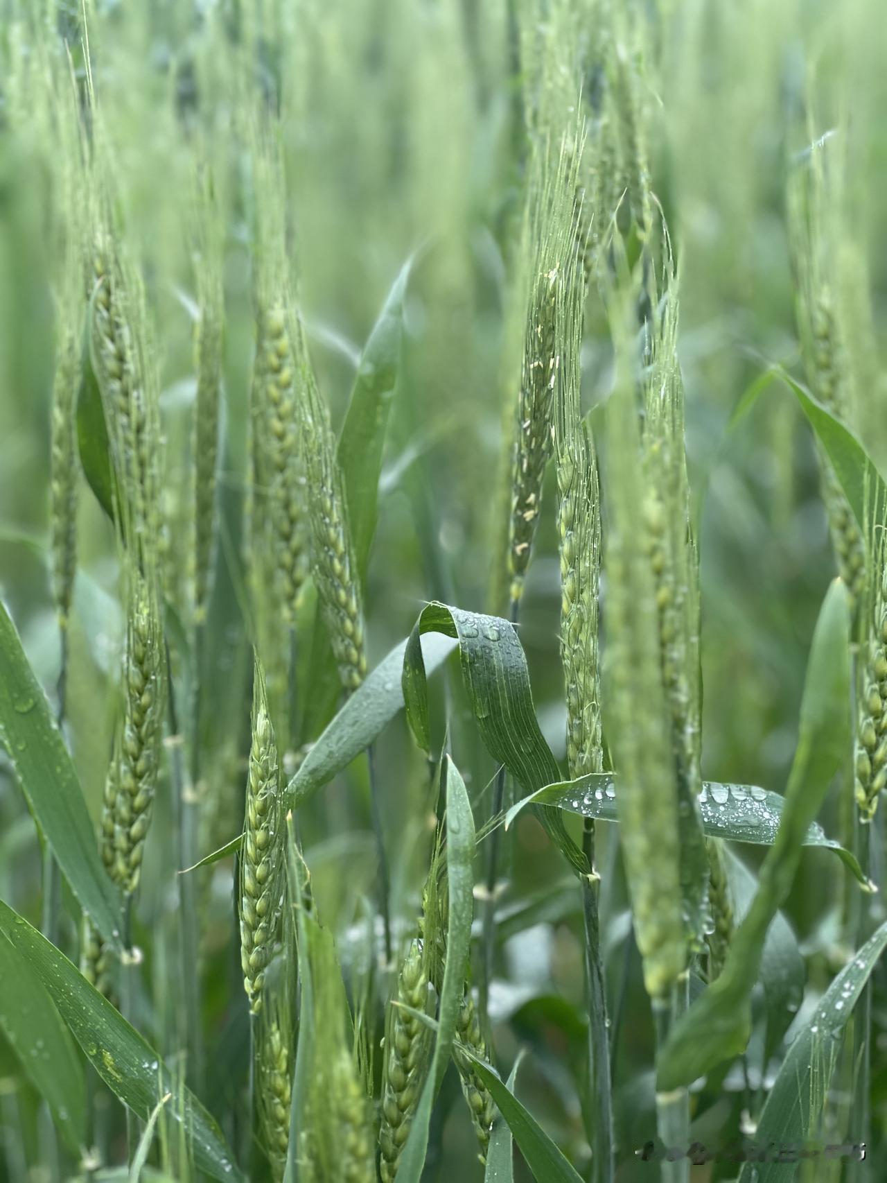 人类用几千年的斗争，不论是农业社会地主阶级与贫农的斗争，还是近代工业社会资本家与